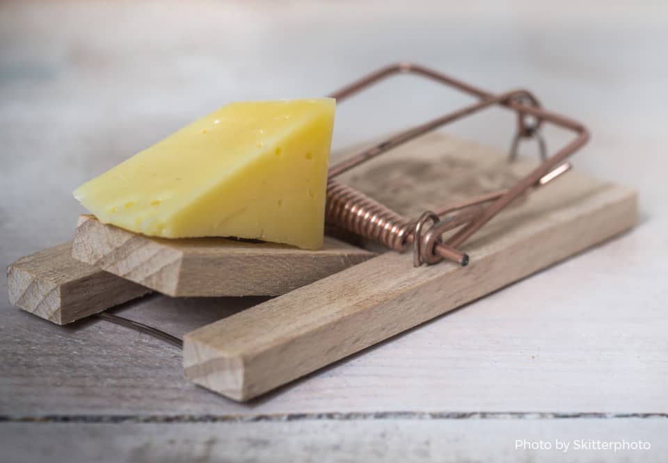 A photo of an old wooden mouse trap with a piece of cheese on it
