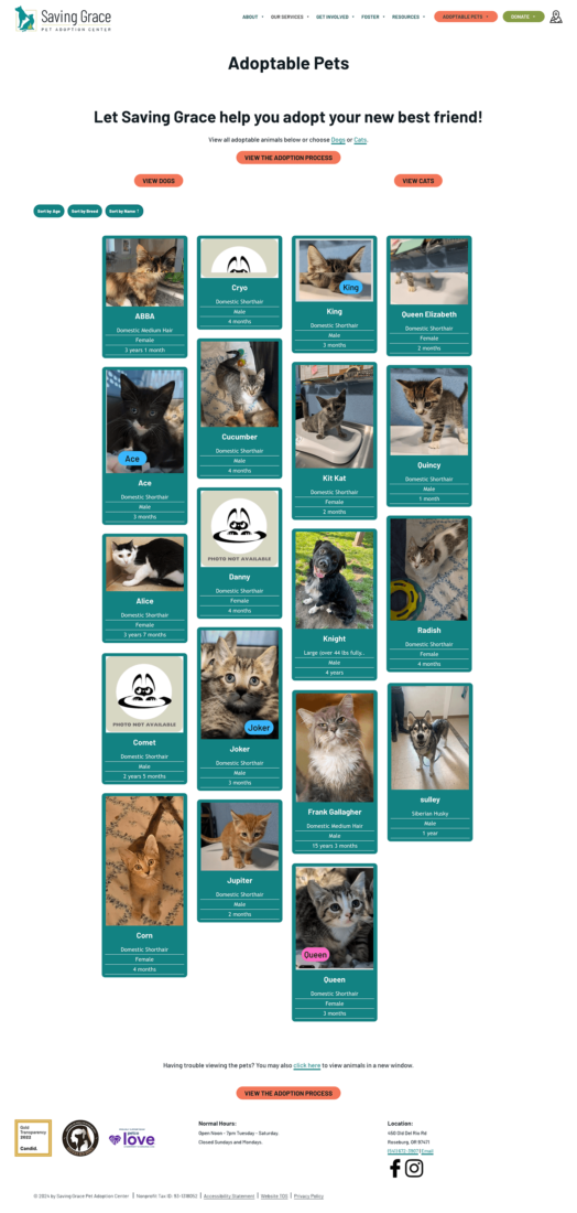 A screenshot from the Saving Grace Animal Shelter custom WordPress website showing pets available for adoption