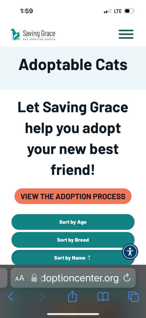 A mobile screenshot of the Saving Grace Animal Shelter custom WordPress website showing the available adoptable animals page